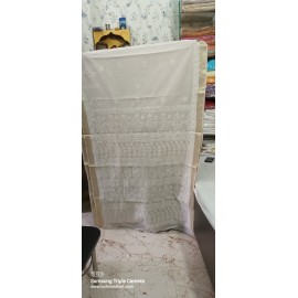 Chendari Chikankari Saree