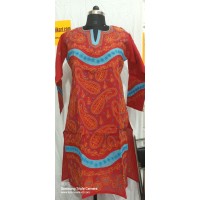 Lucknowi cotton front jall chikankari Kurti 